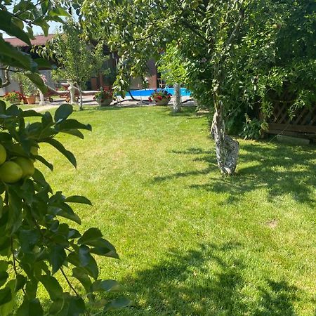 Leisure House Hunedoara Villa Uroi Bagian luar foto
