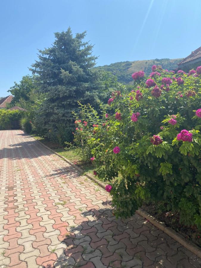 Leisure House Hunedoara Villa Uroi Bagian luar foto